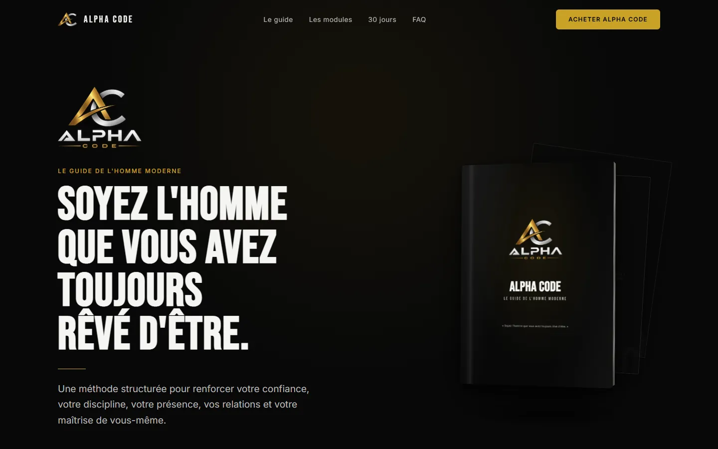 Page d'accueil du site ALPHA CODE sur ordinateur